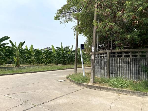 ขายที่ดินเปล่าแปลงมุม สวย หมู่บ้านเมืองทอง 2/2(ซอย13) ซอยพัฒนาการ 61 ขนาด 206 ตรว ทำเลดี เหมาะสร้างบ้าน ออฟฟิศ 